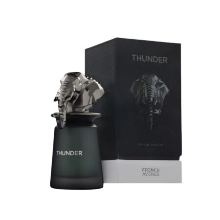 FRAGANCE WORD THURDER MEN 100ML