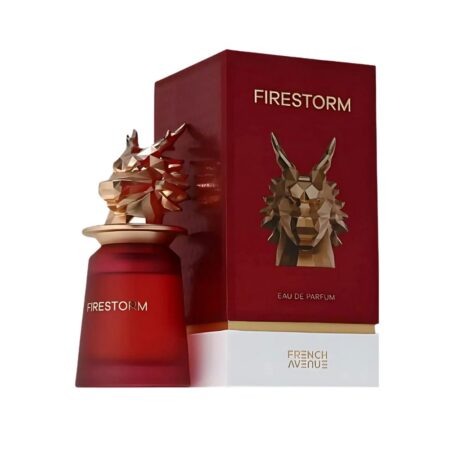 FRAGANCE FIRESTORM MEN EAU DE PARFUM  EDP 100ML