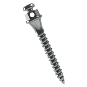 Miniparafuso Ortodôntico (Compr.: 10mm - Transm.: 2mm – Ø1.5mm) – Morelli